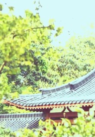 一代倾城逐浪花免费观看全集