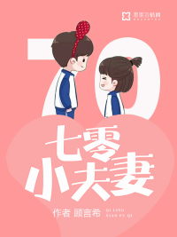 七零小夫妻txtepub