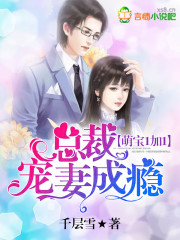 萌宝一加一总裁宠妻成瘾