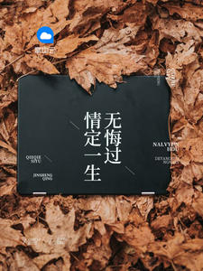 沈蔓歌叶南弦全免费阅读