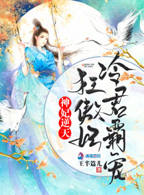 冷王神妃简介