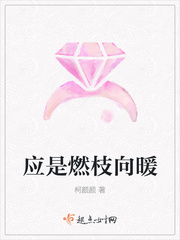 应是南枝向暖小说百度云