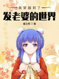 穿越之我的老婆