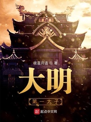 大明第一太子小说txt免费