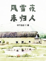 风雪夜归人 全诗