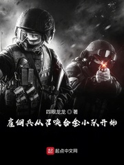 雇佣兵召唤系统