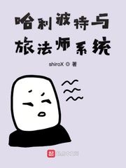 魔法师 哈利波特