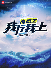 海贼之我很敬业