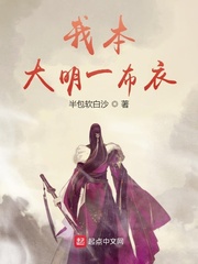 我本大明一布衣 无弹窗