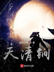 天清漫画有没有小说版
