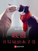 联盟开局辅助水子哥女主