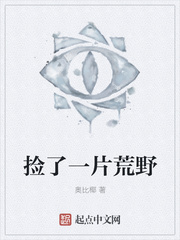捡了一片荒野到底写什么