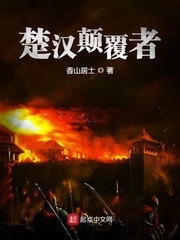 楚汉颠覆者 小说