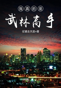 我真不是武功高手