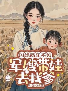 闪婚的军婚高干的小说