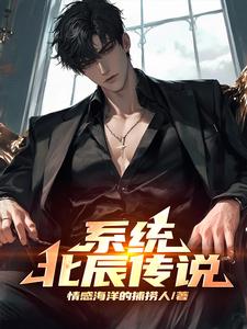 男主北辰是什么小说