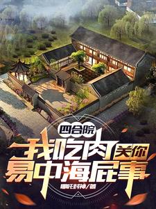 四合院开局警察