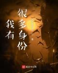我有很多身份英文